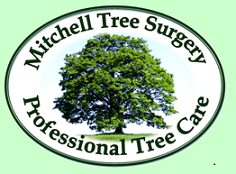 Exeter Tree Surgeon